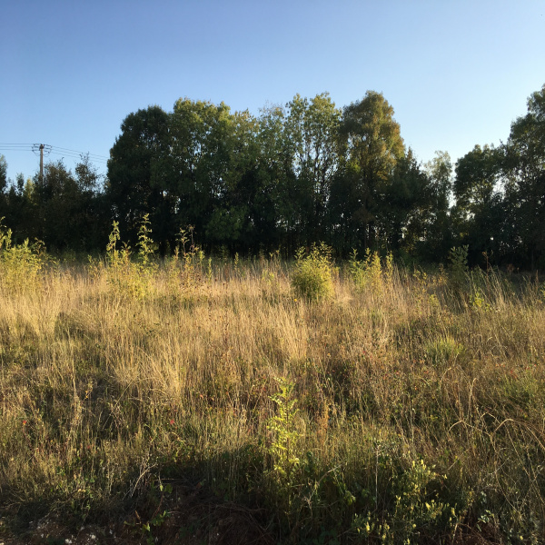 Offres de vente Terrain Saintes 17100